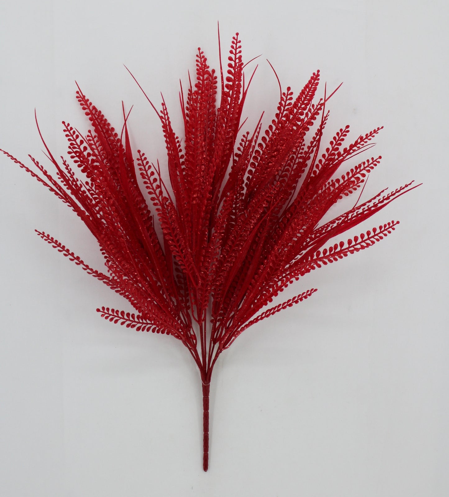 20 IN RED BUTTON FERN W