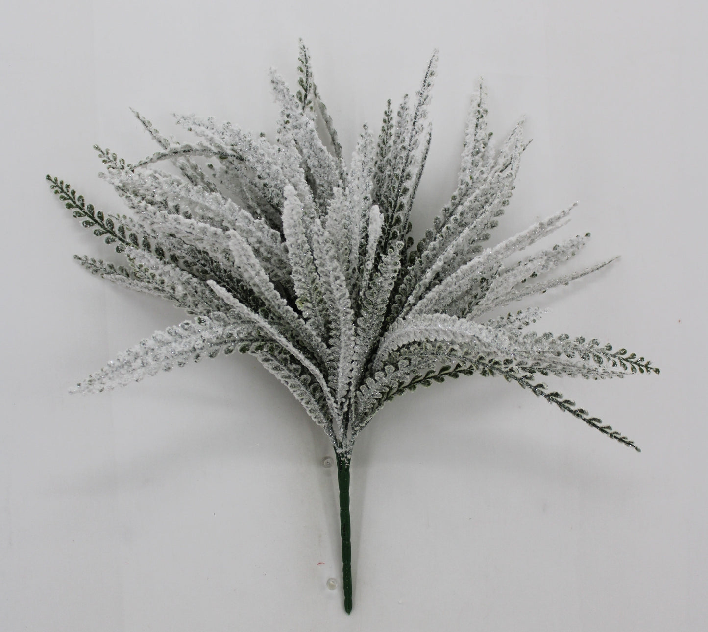 19 " SNOWY BUTTON FERN