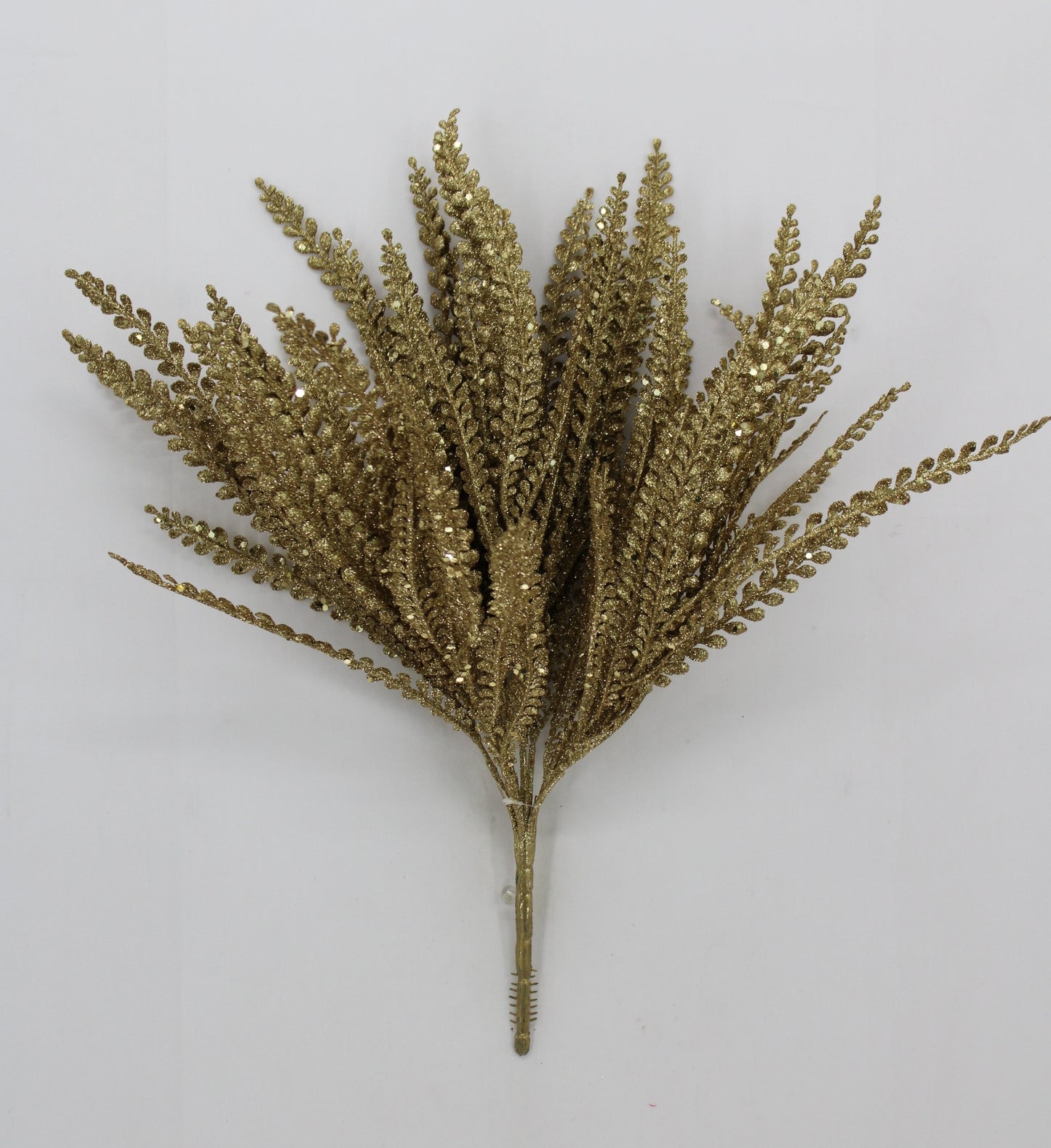 19 " GOLD BUTTON FERN