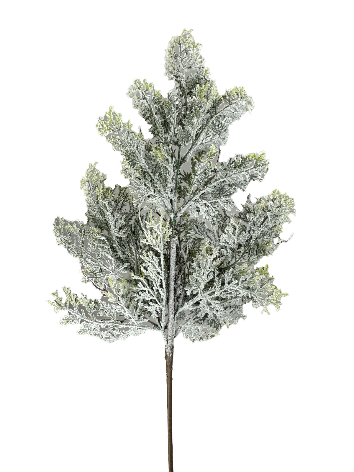 Snowy Cedar Spray