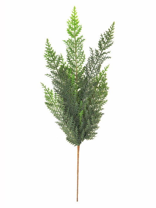 Cedar Spray 24"