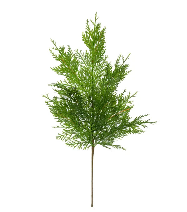 Cedar Spray, 23"