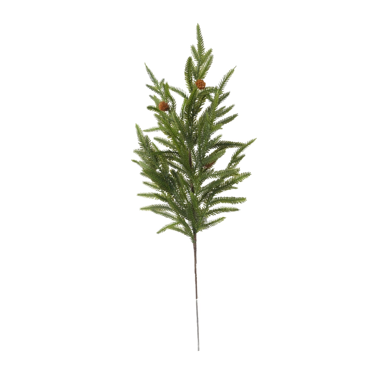 Norfolk Pine W/mini Cone Spray, 28"