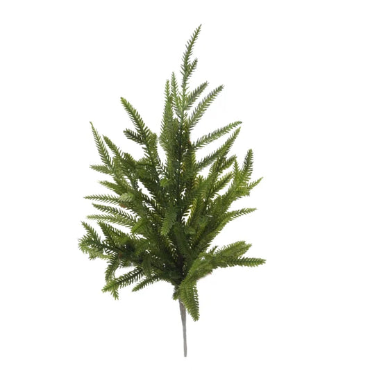 Norfolk Pine (soft touch) Bush, 17.5"