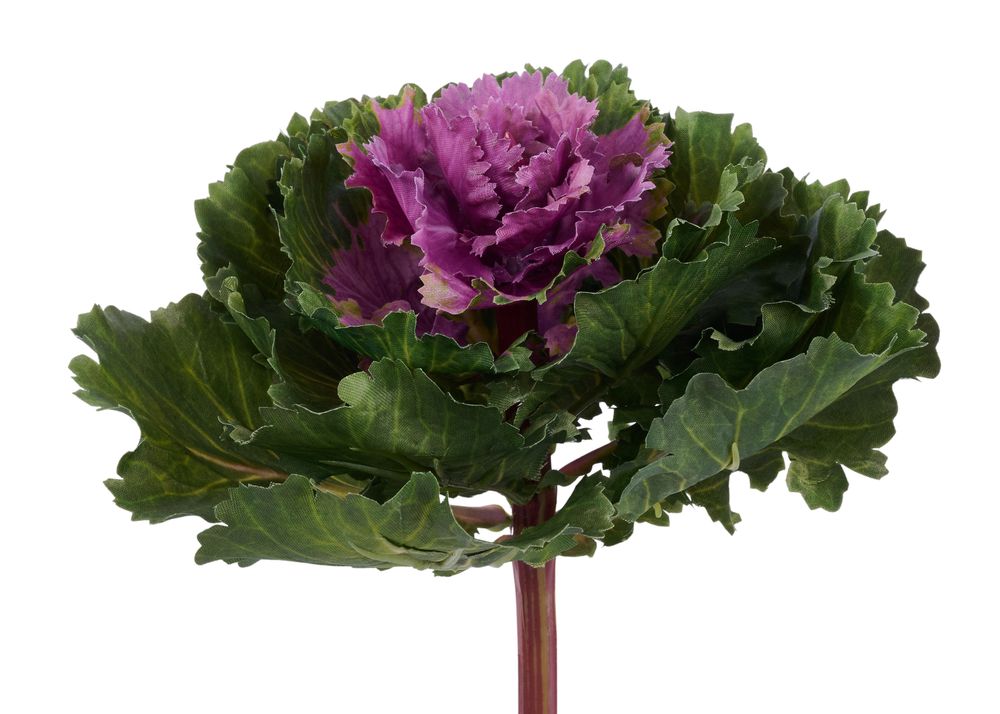 8"L X 7"DIA KALE MAGENTA/GREEN - Burlap and Bling Decor
