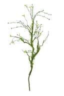 BUDDING MOSS BRANCH 39" GREEN - Burlap and Bling Decor