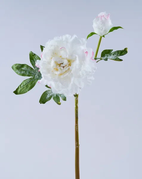22"L PEONY SPRAY W/SNOW WHITE - Burlap and Bling Decor