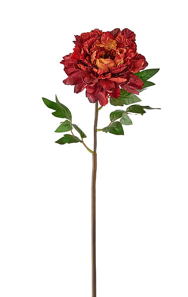23"L  RUSTIC RED VELVET PEONY SPRAY