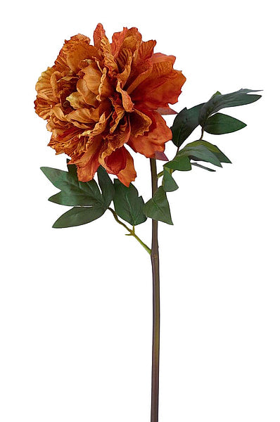 23"L ORANGE VELVET PEONY Spray