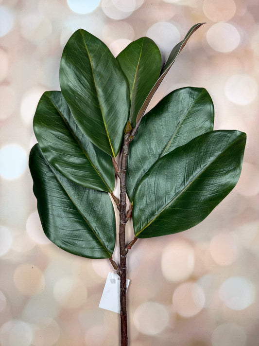 27IN MAGNOLIA SPRAY GREEN