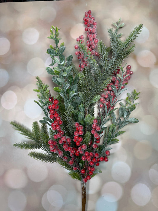 Frosted Norfolk Pine/ Boxwood/ Berry Bush, 24"