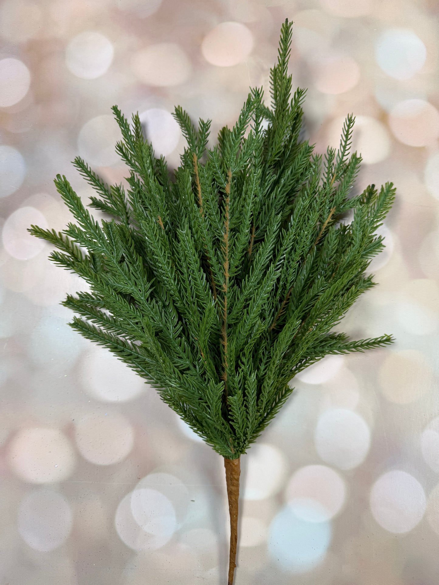 Norfolk Pine Bush 20"