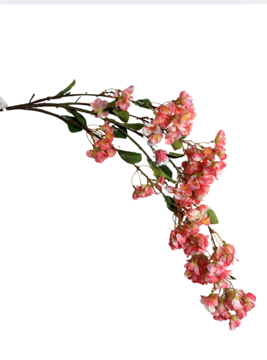 Cherry Blossom Branch Coral - Burlap and Bling Decor