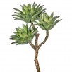 TRIPLE STAR SUCCULENT PICK 12"
