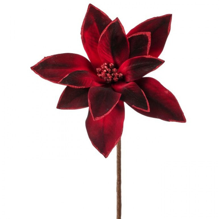 24" VELVETW/GLITTER POINSETTTA STEM BGRD