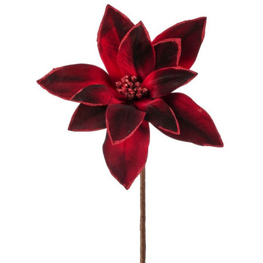 24" VELVETW/GLITTER POINSETTTA STEM BGRD