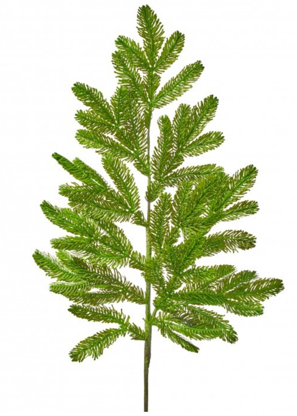 36" REAL TOUCH NOBLE FIR SPRAY GRN