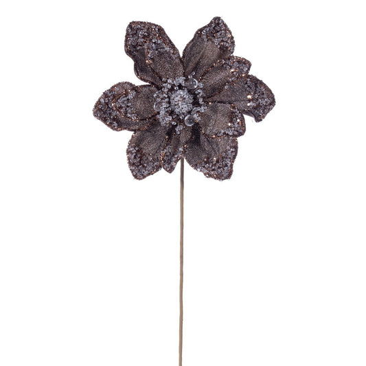 Mocha Iced Poinsettia 8.5" Flower