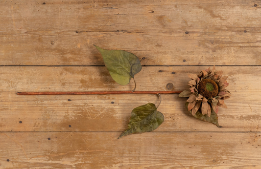 27" Aged Sunflower - Burlap and Bling Decor
