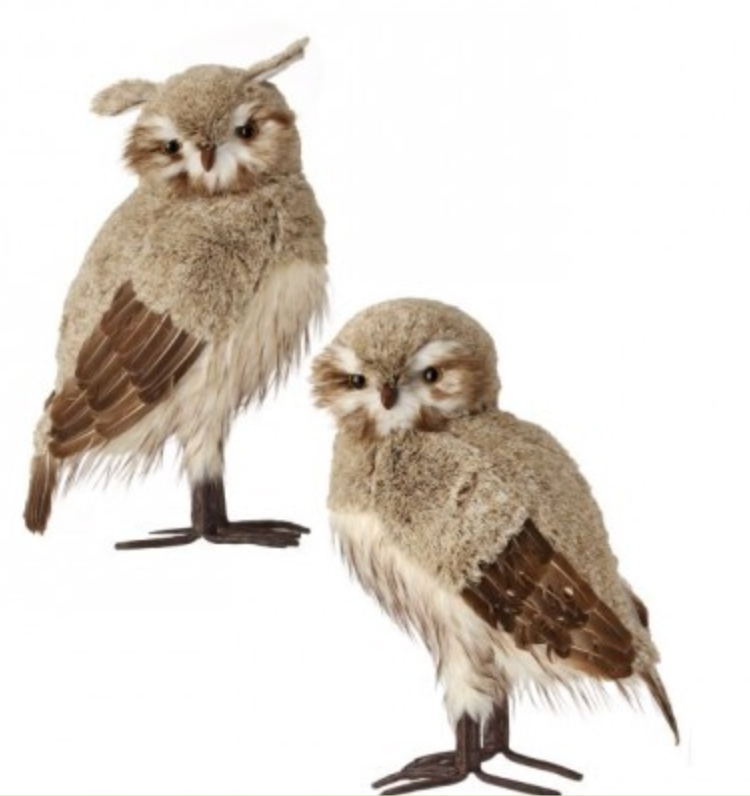 21.5" WINTER CHALET FEATHER OWL 2/AST NACR