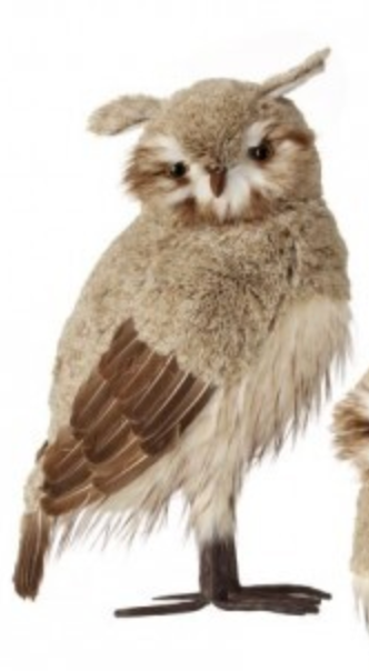 21.5" WINTER CHALET FEATHER OWL 2/AST NACR