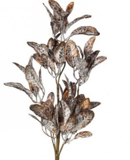 26" FROSTED RUSCUS SPRAY COPP