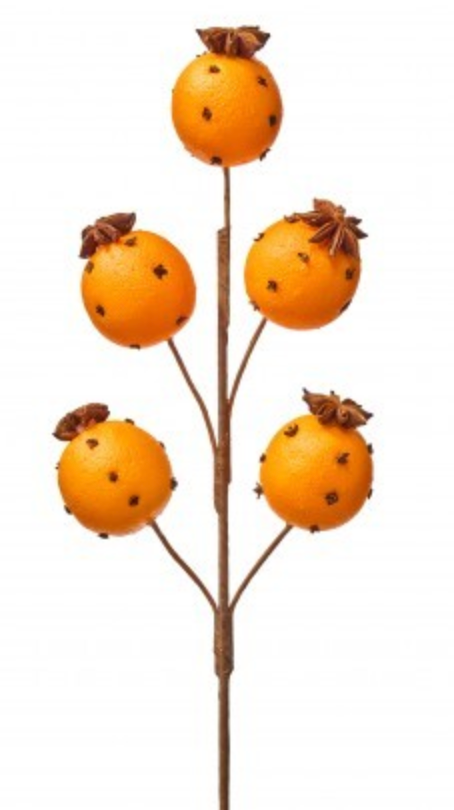 19.5" ORANGE W/CLOVE SPRAY  NAOR