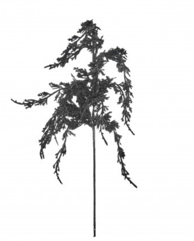 22"FLOCKED GLITTER CEDAR SPRAY BLACK