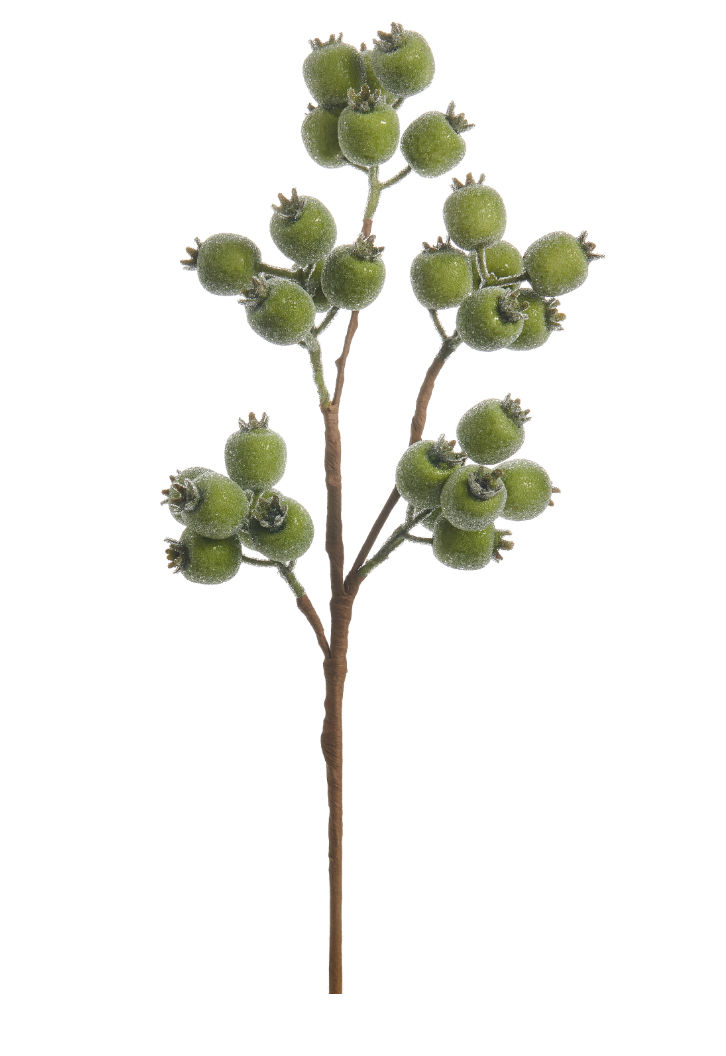 21" Iced Green Berry Spray