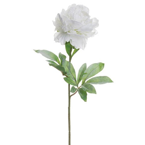 28" Snowed Peony Spray Snow White