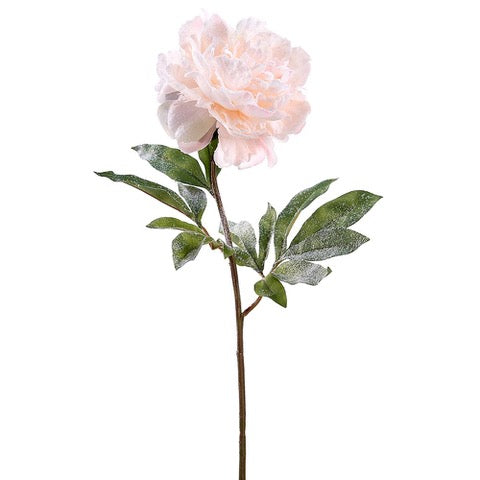 28" Snowed Peony Spray Pink