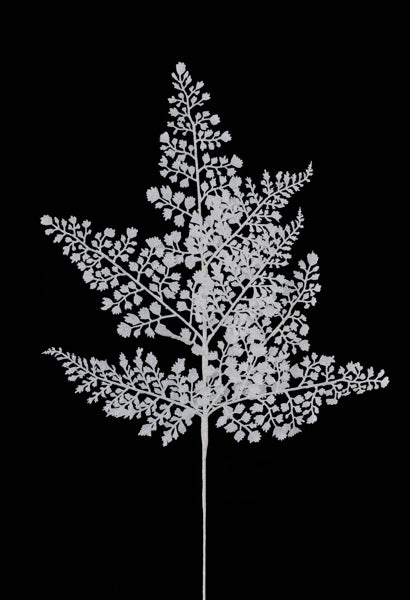 23"L GLITTER MAIDENHAIR FERN SPRAY LASER SILVER - Burlap and Bling Decor