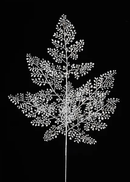 27"L METALLIC FERN LEAF SPRAY SILVER - Burlap and Bling Decor