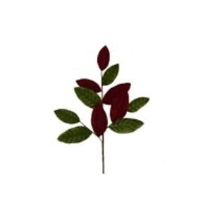 VELVET LEAF SPRAY RD/GRN