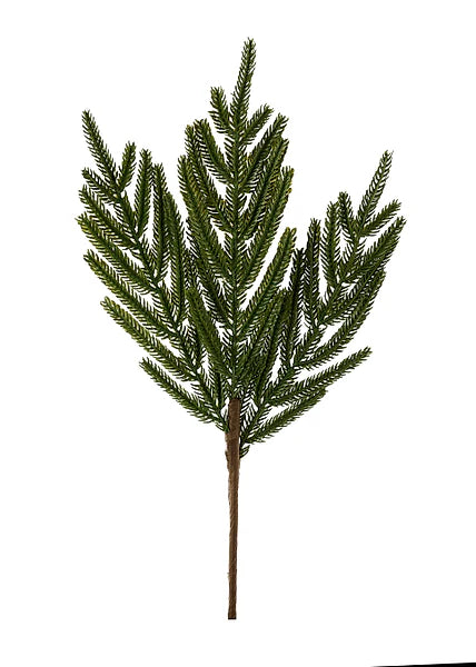 16"NORFOLK PINE PICK