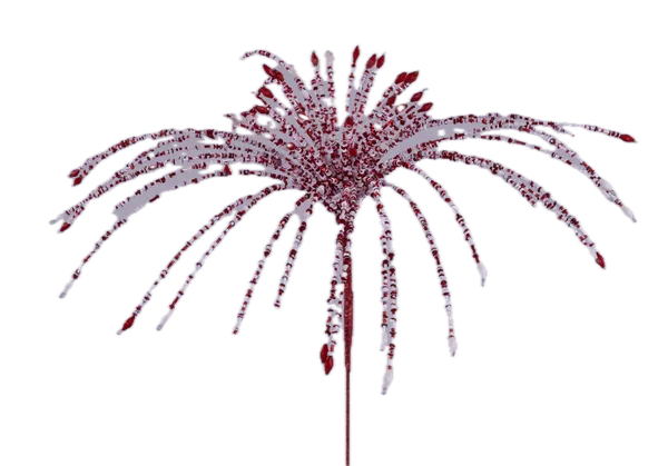 24"L STARBURST FOUNTAIN SPRAY RED/WHITE - Burlap and Bling Decor