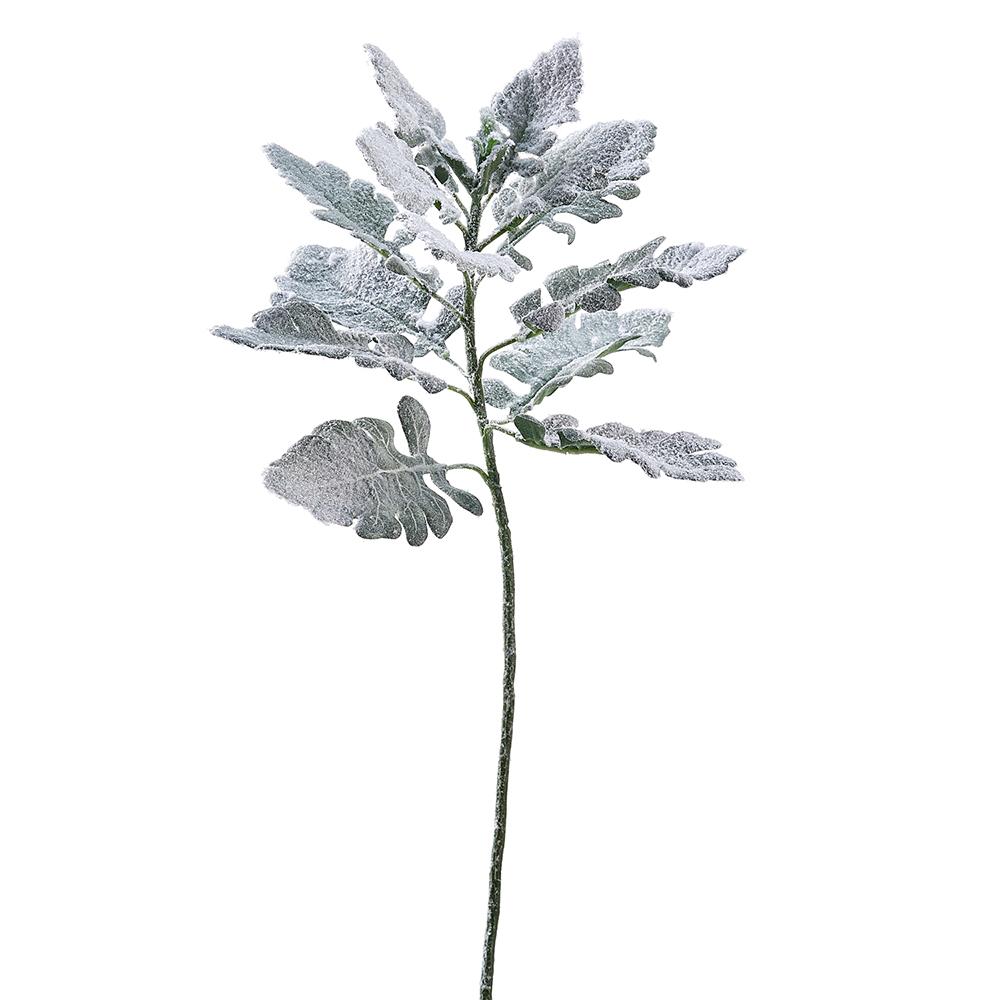 18.5" Snowed Dusty Miller Spray Green