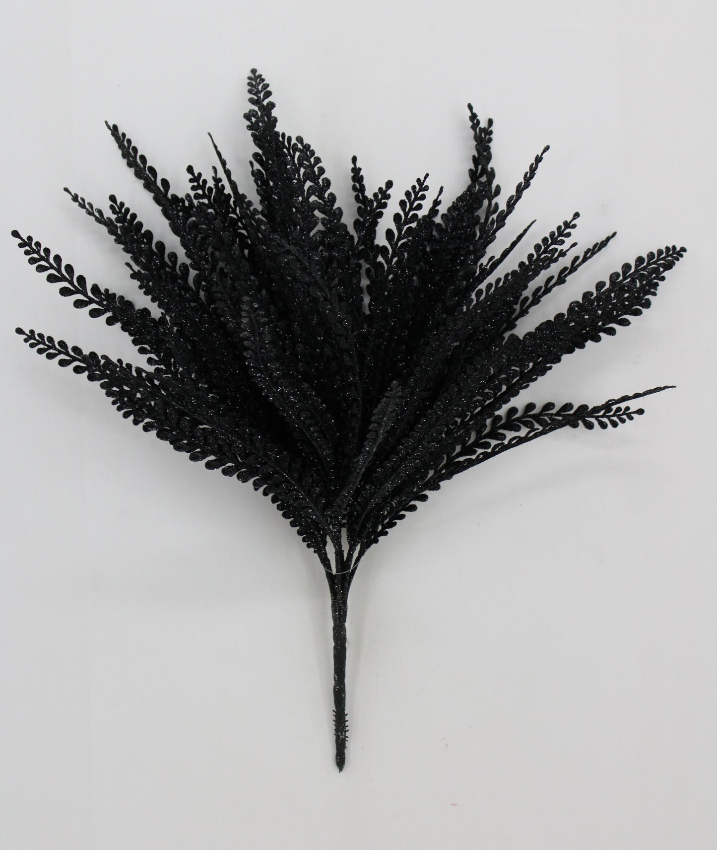 19 " BLACK BUTTON FERN